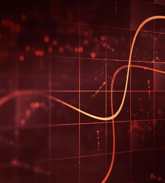 Business Intelligence