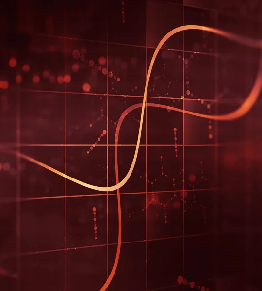 Business Intelligence