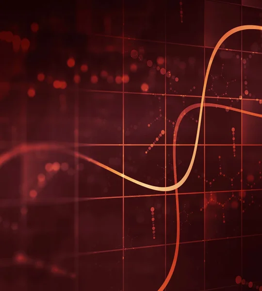Business Intelligence