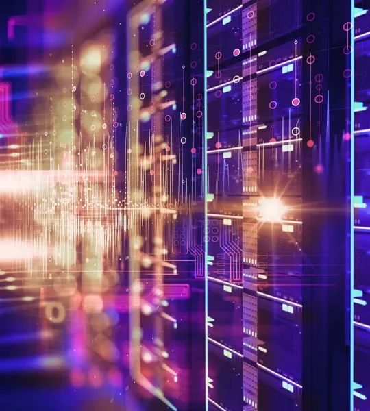 Hosting & Connectivity